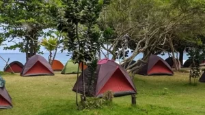 Na grama, na sombra e de frente para o mar